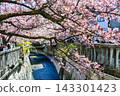 Atami City, Shizuoka Prefecture, Atami Sakura, Itokawa Promenade, Early February 143301423