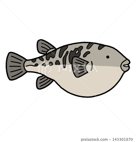 Puffer fish Puffer fish 143301870