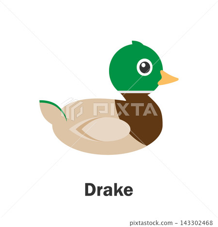 Drake in cartoon style, pond card for kid, preschool activity for children, vector illustration Drake in cartoon style, pond card for kid, preschool activity for children, vector illustration 143302468