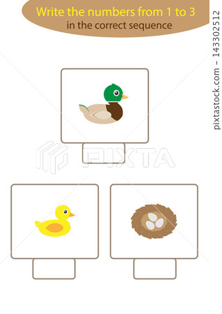 Visual game with duck life cycle for kids, educational task for the development of logical thinking, preschool worksheet activity, write numbers, vector illustration Visual game with duck life cycle for kids, educational task for the development of logical thinking, preschool worksheet activity, write numbers, vector illustration 143302512