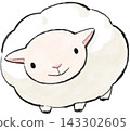 Watercolor painting of a sheep Watercolor painting of a sheep 143302605