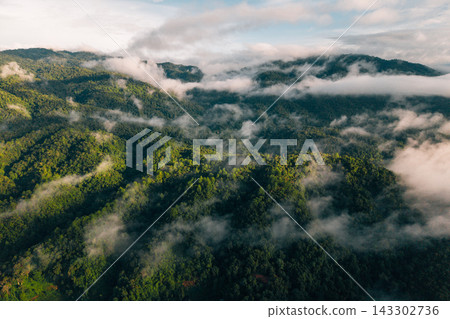 Aerial drone shot of tropical rainforest mountains covered in morning mist and fog. Aerial drone shot of tropical rainforest mountains covered in morning mist and fog. 143302736