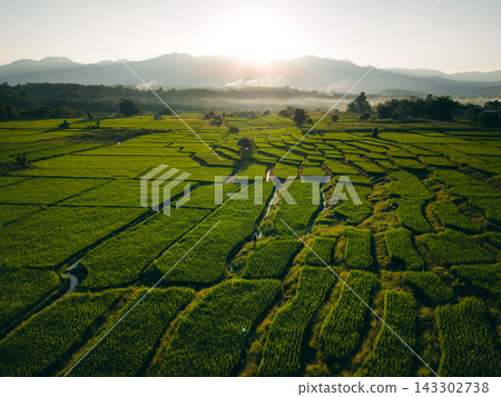 Farmer walking through green terraced rice fields at sunrise in a mountain valley. Farmer walking through green terraced rice fields at sunrise in a mountain valley. 143302738