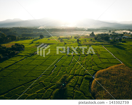 Farmer walking through green terraced rice fields at sunrise in a mountain valley. Farmer walking through green terraced rice fields at sunrise in a mountain valley. 143302739