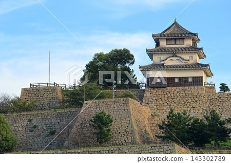 香川縣丸龜市丸龜城堡 香川縣丸龜市丸龜城堡 143302789