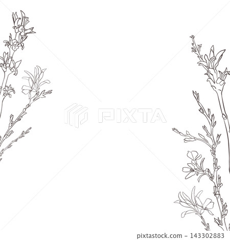 Vector botanical flower and leafy vine border white copy space. Floral line art frame for invitations, cards or stationery. Minimalist early spring design hand drawn. Elegant blank of buds twigs. 143302883