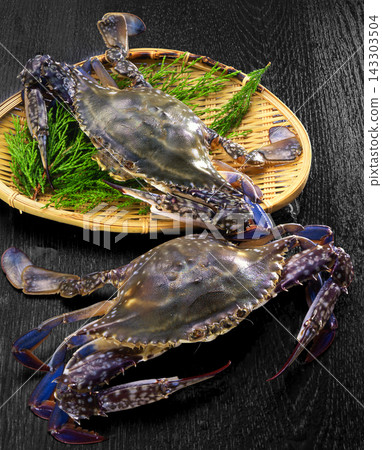 瀨戶內海的游泳蟹 瀨戶內海的游泳蟹 143303504