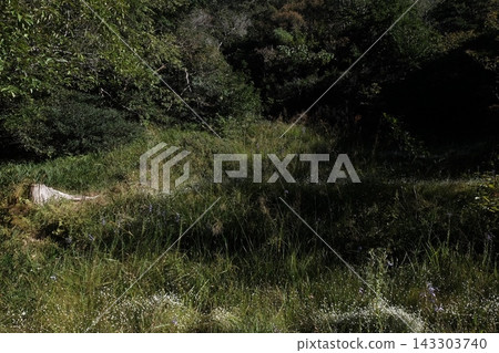 Japanese natural scenery Japanese natural scenery 143303740