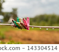 Many colorful plastic clothespin hanging on the wire with raindrop 143304514
