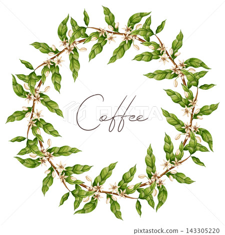 Hand drawn watercolor coffee tree branch wreath with red berries and green leaves. Excellent for coffee shops, packaging, stores, and botanical menu design Hand drawn watercolor coffee tree branch wreath with red berries and green leaves. Excellent for coffee shops, packaging, stores, and botanical menu design 143305220
