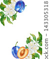 Watercolor frame with plums, slices, seeds and white flowers isolated on white background. Perfect for product logo, posters, packaging, textile, market advertising, wedding invitation, label, card 143305318