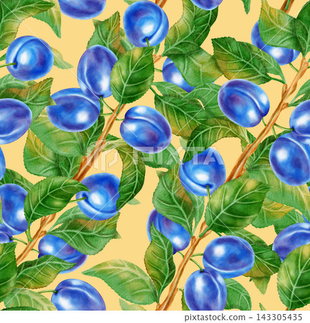 Hand drawn watercolor seamless pattern with plum tree branches, green leaves, fruits. Perfect for product logo, posters, packaging, textile, market advertising, wedding invitation, label, card Hand drawn watercolor seamless pattern with plum tree branches, green leaves, fruits. Perfect for product logo, posters, packaging, textile, market advertising, wedding invitation, label, card 143305435