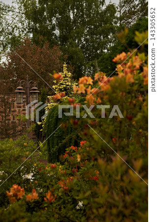 Ornate garden lamppost stands among colorful flowering shrubs and evergreen trees beneath cloudy sky in quiet backyard landscape with brick wall and lush foliage Ornate garden lamppost stands among colorful flowering shrubs and evergreen trees beneath cloudy sky in quiet backyard landscape with brick wall and lush foliage 143305652