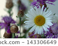 A bouquet of chamomile and cornflower flowers, close-up 143306649