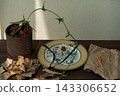 A still life with a broken plate and dried flowers symbolizes the fragility of life and the breakdown of relationships. 143306652