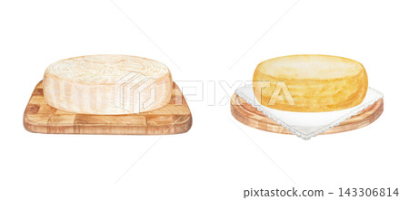 Artisan cheese wheels set on wooden cutting boards with lace napkin. Hand drawn watercolor illustration isolated on. Realistic detailed food clipart for menu design 143306814