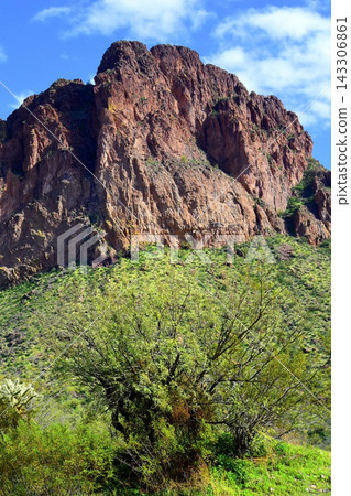 Salt River Recreation Area Arizona Salt River Recreation Area Arizona 143306861