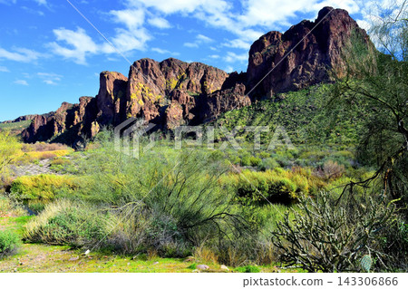 Salt River Recreation Area Arizona Salt River Recreation Area Arizona 143306866