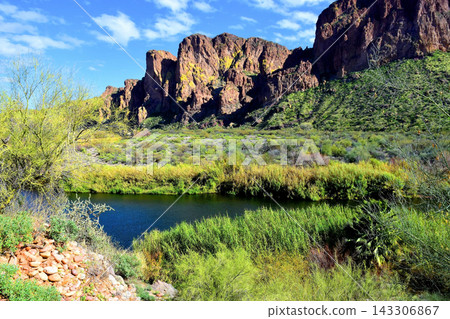 Salt River Recreation Area Arizona Salt River Recreation Area Arizona 143306867