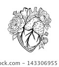 Anatomical Heart with Peony Flowers Vector Line Art 143306955
