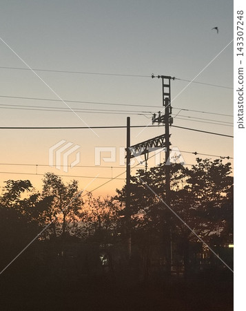 夕陽照亮的電話桿 夕陽照亮的電話桿 143307248