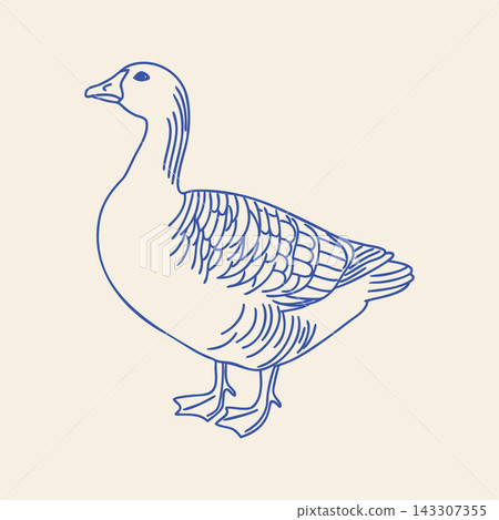 Blue Hand Drawn Line Art Goose. Farm Animal Illustration. Blue Hand Drawn Line Art Goose. Farm Animal Illustration. 143307355