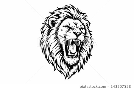 Roaring Lion Vector Illustration Roaring Lion Vector Illustration 143307538