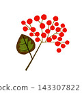 red nut 143307822