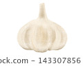 Crayon-style vegetable and fruit series: "Garlic" 143307856