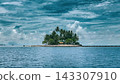 tropical sea and ocean with coconut palm tree tropical sea and ocean with coconut palm tree 143307910