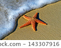 starfish on the beach starfish on the beach 143307916