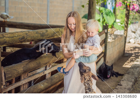 Mother and toddler prepare to feed a goat and sheep at a petting zoo. Hands on learning and animal education. Mother and toddler prepare to feed a goat and sheep at a petting zoo. Hands on learning and animal education. 143308680