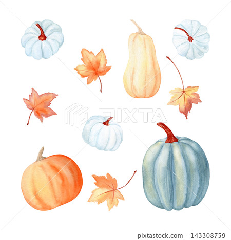 Pumpkins and maple leaves watercolor autumn set illustrations. Hand drawn botanical collection clipart for Thanksgiving, fall holidays and rustic greeting cards on white. Colorful detailed drawings. Pumpkins and maple leaves watercolor autumn set illustrations. Hand drawn botanical collection clipart for Thanksgiving, fall holidays and rustic greeting cards on white. Colorful detailed drawings. 143308759