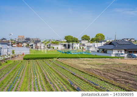 Greenhouses, fields, and streetscapes in Iwata City (Shizuoka Prefecture) Greenhouses, fields, and streetscapes in Iwata City (Shizuoka Prefecture) 143309095