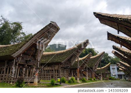 Traditional Toraja houses with buffalo horns, Sulawesi, Indonesia Traditional Toraja houses with buffalo horns, Sulawesi, Indonesia 143309209