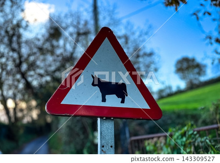 Cattle Crossing Warning Sign in Rural Landscape 143309527