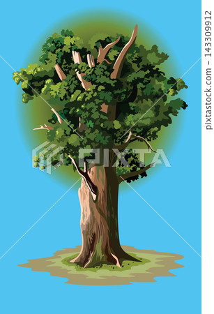 A marvelously grown tree with fresh foliage, vector illustration 143309912