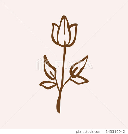 Simple outline sketch of a tulip, line art, abstract minimalist flower. Vector isolated doodle illustration. Icon Simple outline sketch of a tulip, line art, abstract minimalist flower. Vector isolated doodle illustration. Icon 143310042