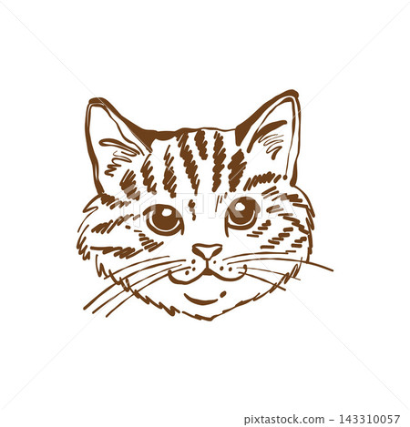 Cats head. Pet portrait, logo, icon. Vector isolated outline illustration. Sketch. Line art clipart. 143310057