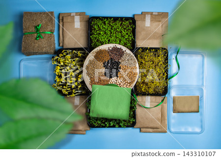 Sprouting kit flat lay with empty kraft card, rolled scroll, jute twine and fresh microgreens. Microgreens kit flat lay with blank kraft card mockup, fiber mat, kraft bag and sprouts. Sprouting kit flat lay with empty kraft card, rolled scroll, jute twine and fresh microgreens. Microgreens kit flat lay with blank kraft card mockup, fiber mat, kraft bag and sprouts. 143310107