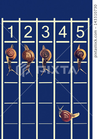 Snail Race on Blue Track with Numbered Lanes Snail Race on Blue Track with Numbered Lanes 143310730