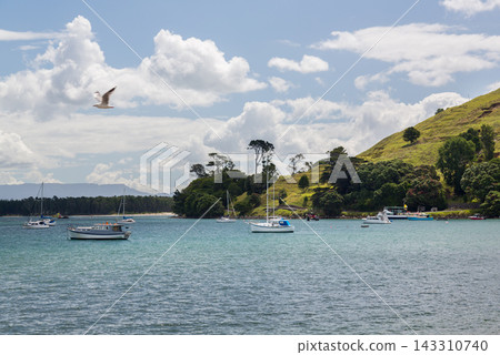 Scenic Harbor with Sailboats, Green Hills, and Cloudy Blue Sky Scenic Harbor with Sailboats, Green Hills, and Cloudy Blue Sky 143310740
