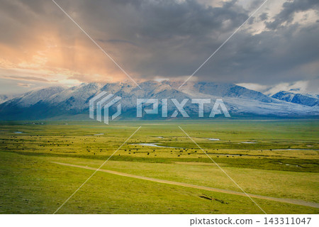 Tibetan Plateau Landscape with Snow Capped Mountains and Pastoral Grassland at Sunset Tibetan Plateau Landscape with Snow Capped Mountains and Pastoral Grassland at Sunset 143311047