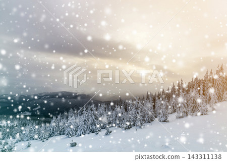 Beautiful winter mountain landscape. Tall dark green spruce trees covered with snow on mountain peaks and cloudy sky background. Beautiful winter mountain landscape. Tall dark green spruce trees covered with snow on mountain peaks and cloudy sky background. 143311138