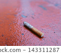 Discarded cigarette on wet ground 143311287