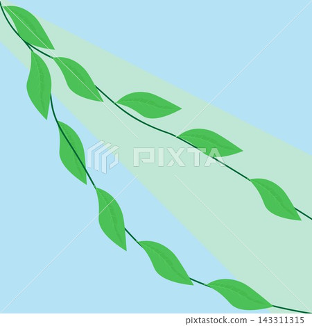 Branches with spring young leaves in the sunlight. Branches with spring young leaves in the sunlight. 143311315