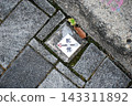 Boundary, inscribed paving stones, and arrow markers 143311892