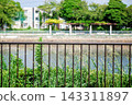 A fence along the river and a lush summer landscape 143311897