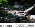 A stream and a small waterfall flowing between the rocks 143311909