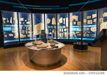 皇家安大略博物館的展覽 皇家安大略博物館的展覽 143312289